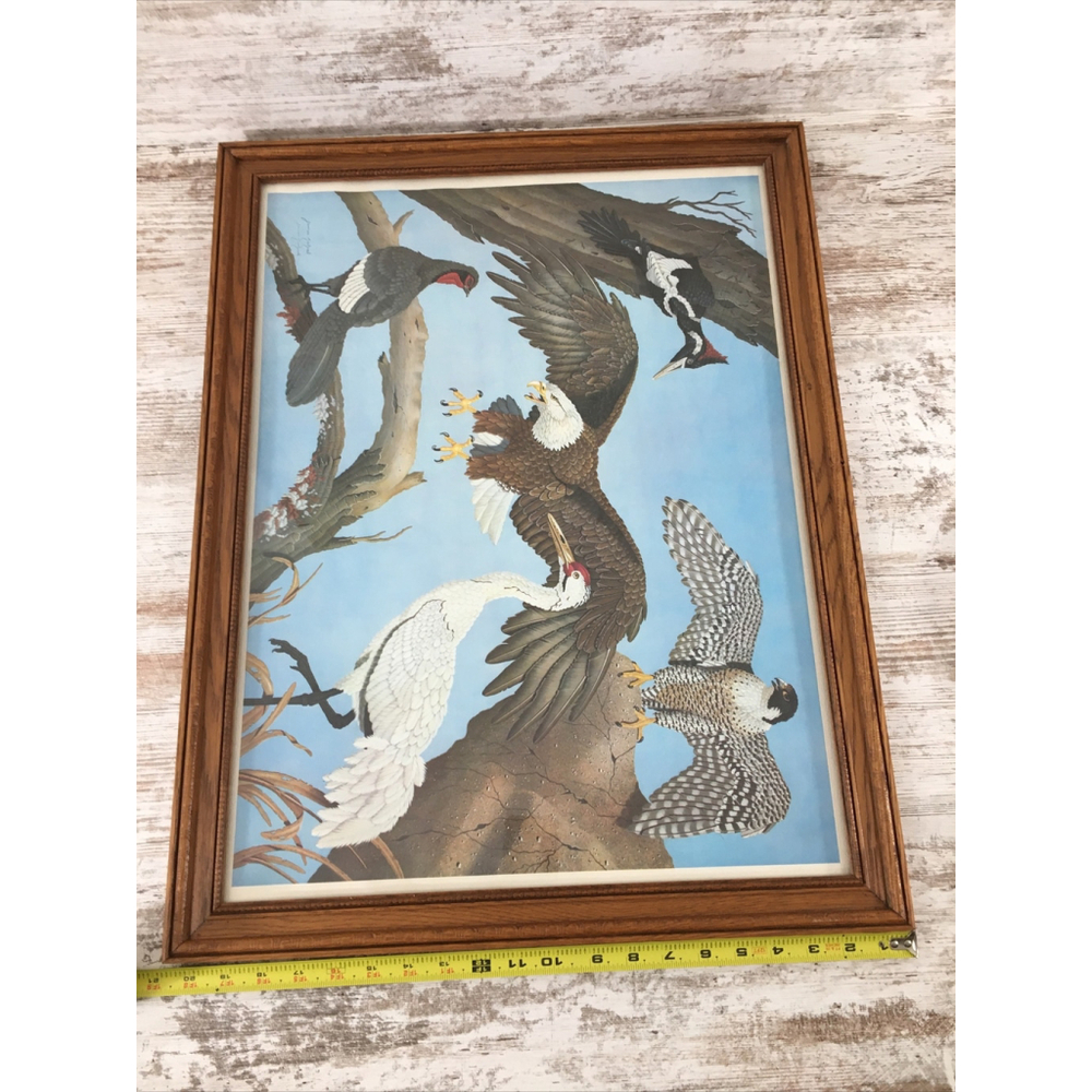 James Kukrul Wildlife Print Signed & Framed Eagle Crane Woodpecker 22x27 - Picture 15 of 16